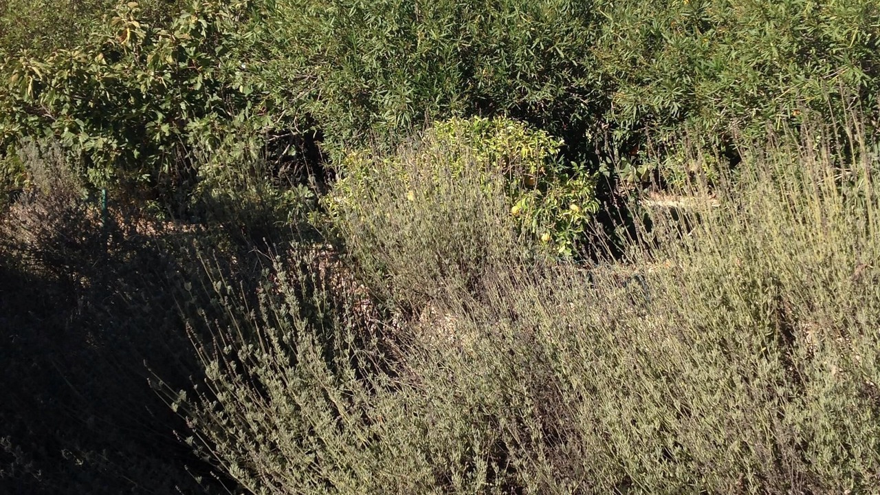 Photo of Outdoor in Mazzarino