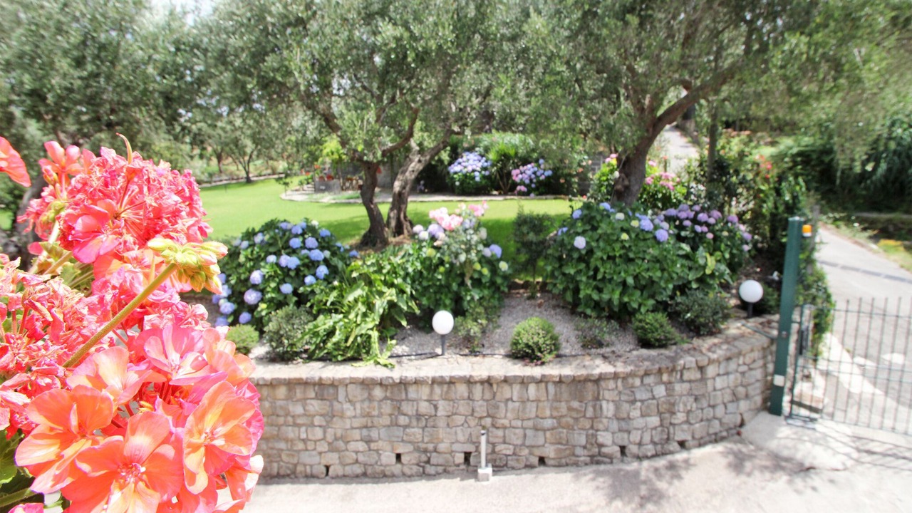 Photo of Outdoor in Naso