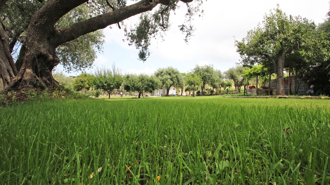 Photo of Outdoor in Naso