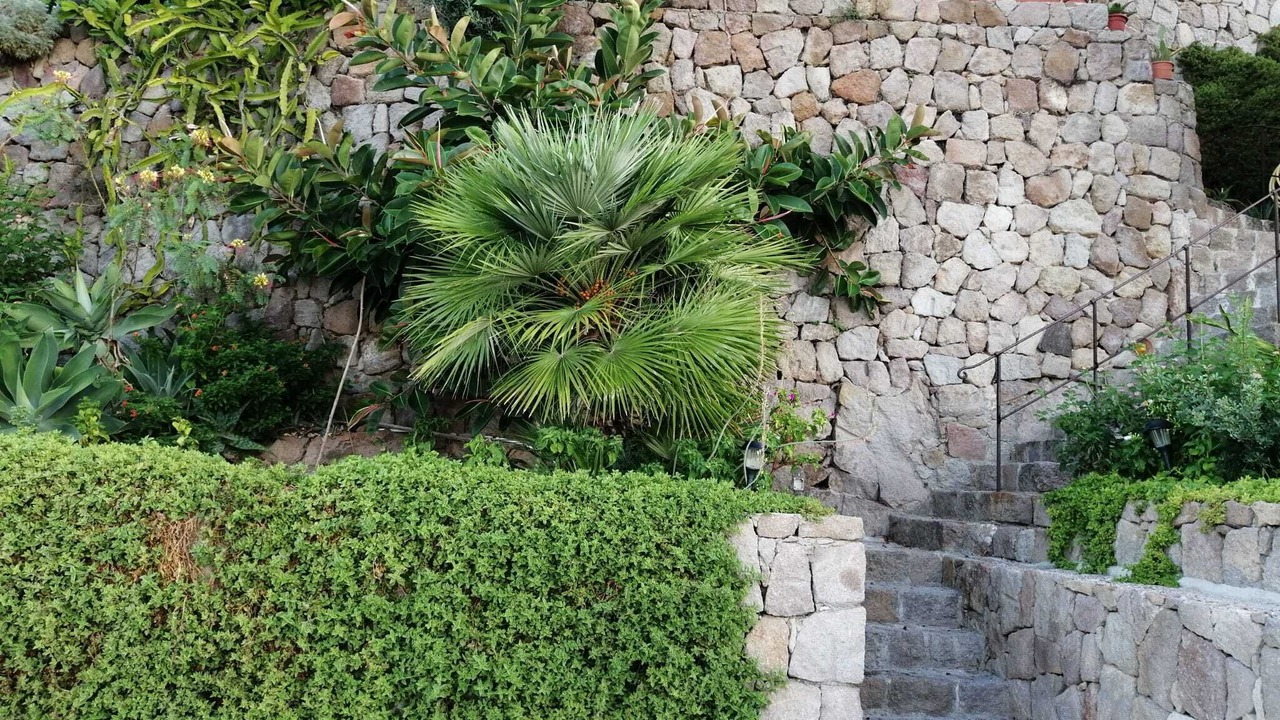 Photo of Outdoor in Panarea