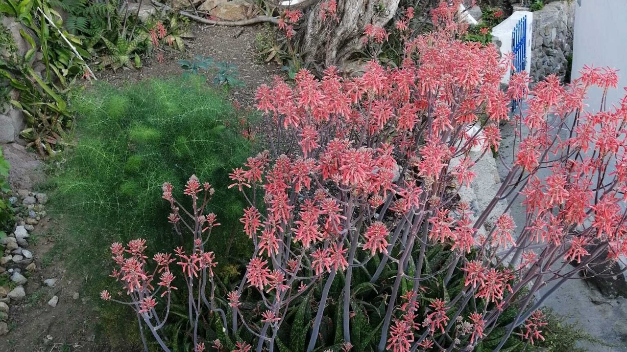 Photo of Outdoor in Panarea