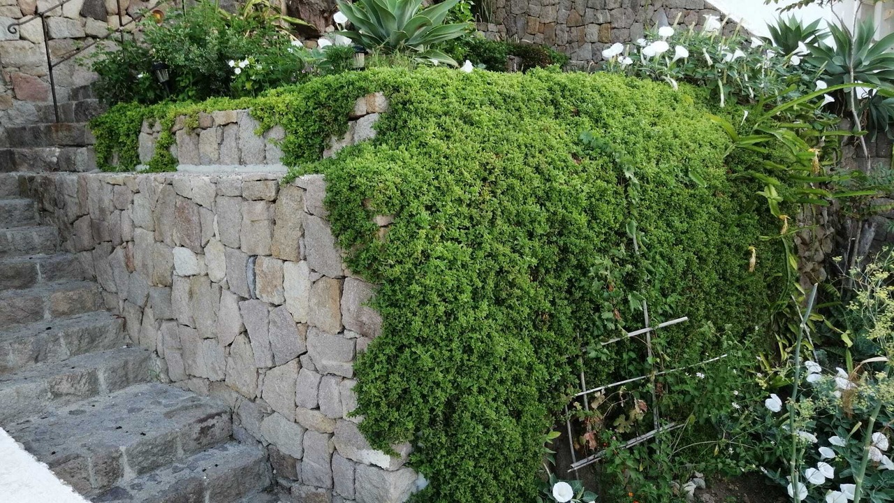Photo of Outdoor in Panarea