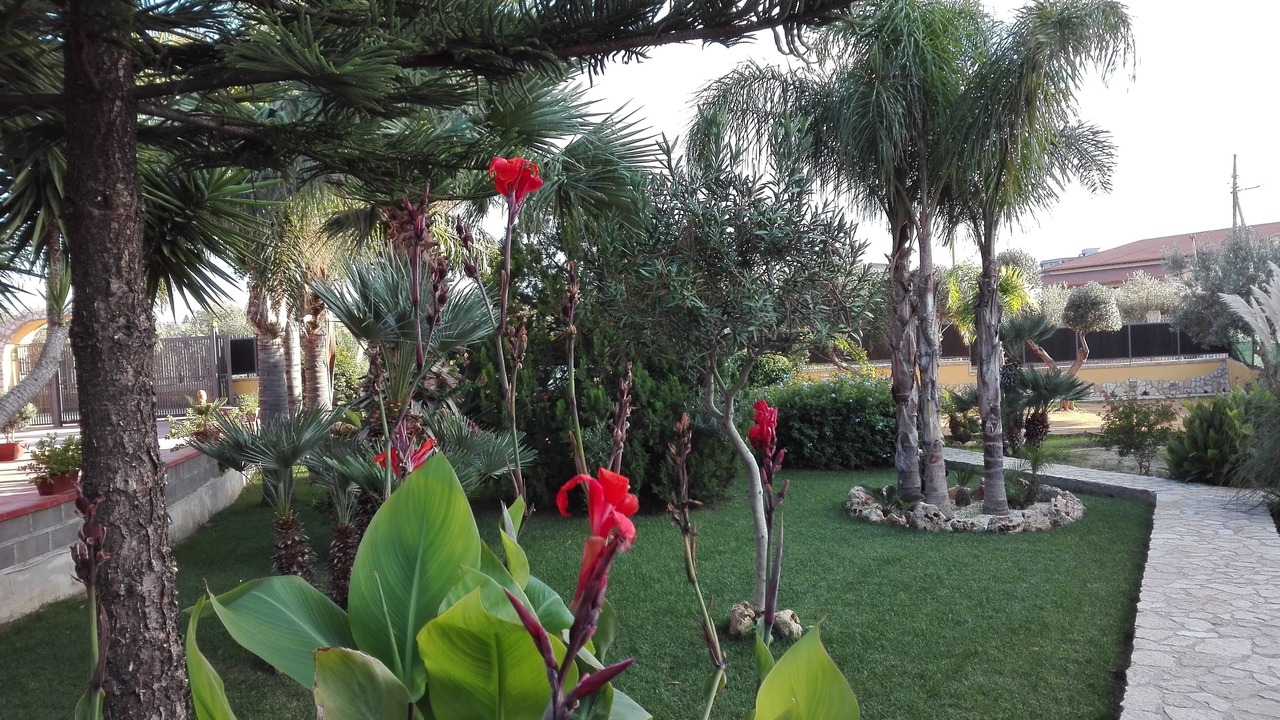 Photo of Outdoor in Villaggio Mose