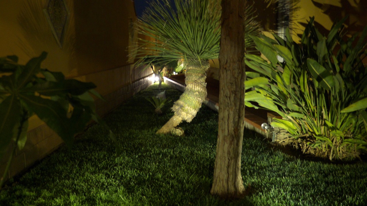 Photo of Outdoor in Villaggio Mose