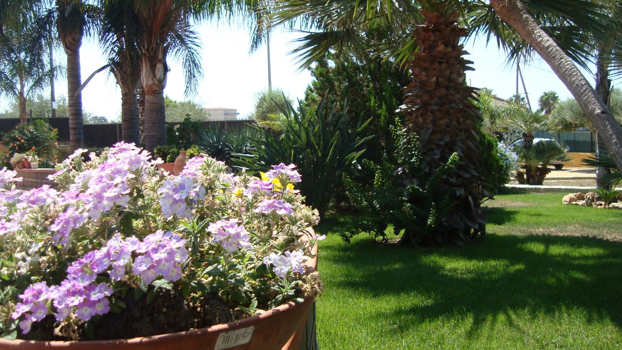 Photo of Outdoor in Villaggio Mose