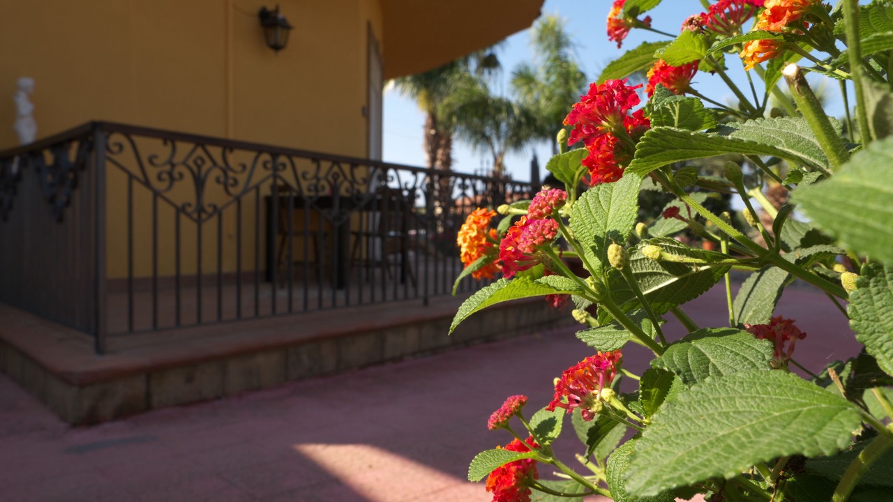 Photo of Outdoor in Villaggio Mose