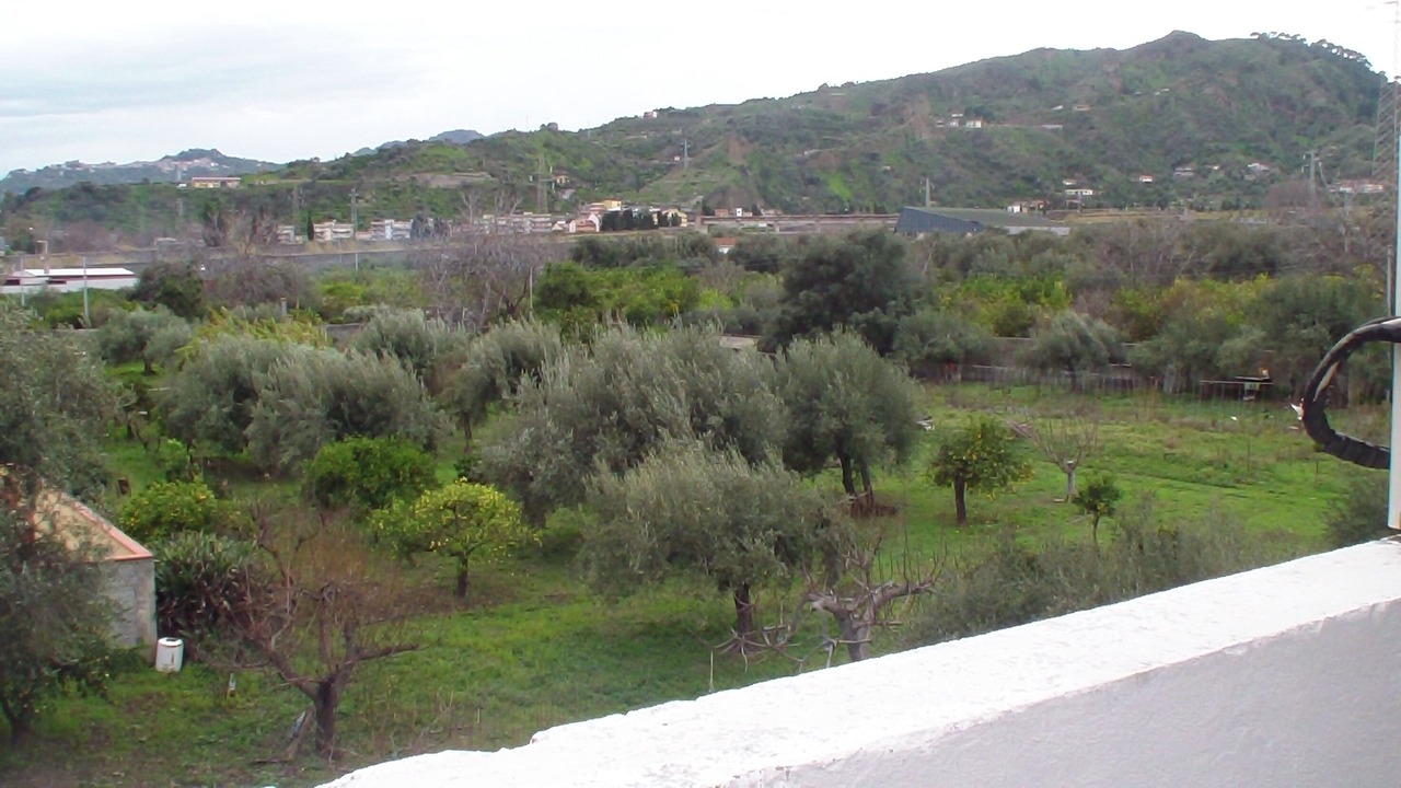Photo of Others in Furci Siculo