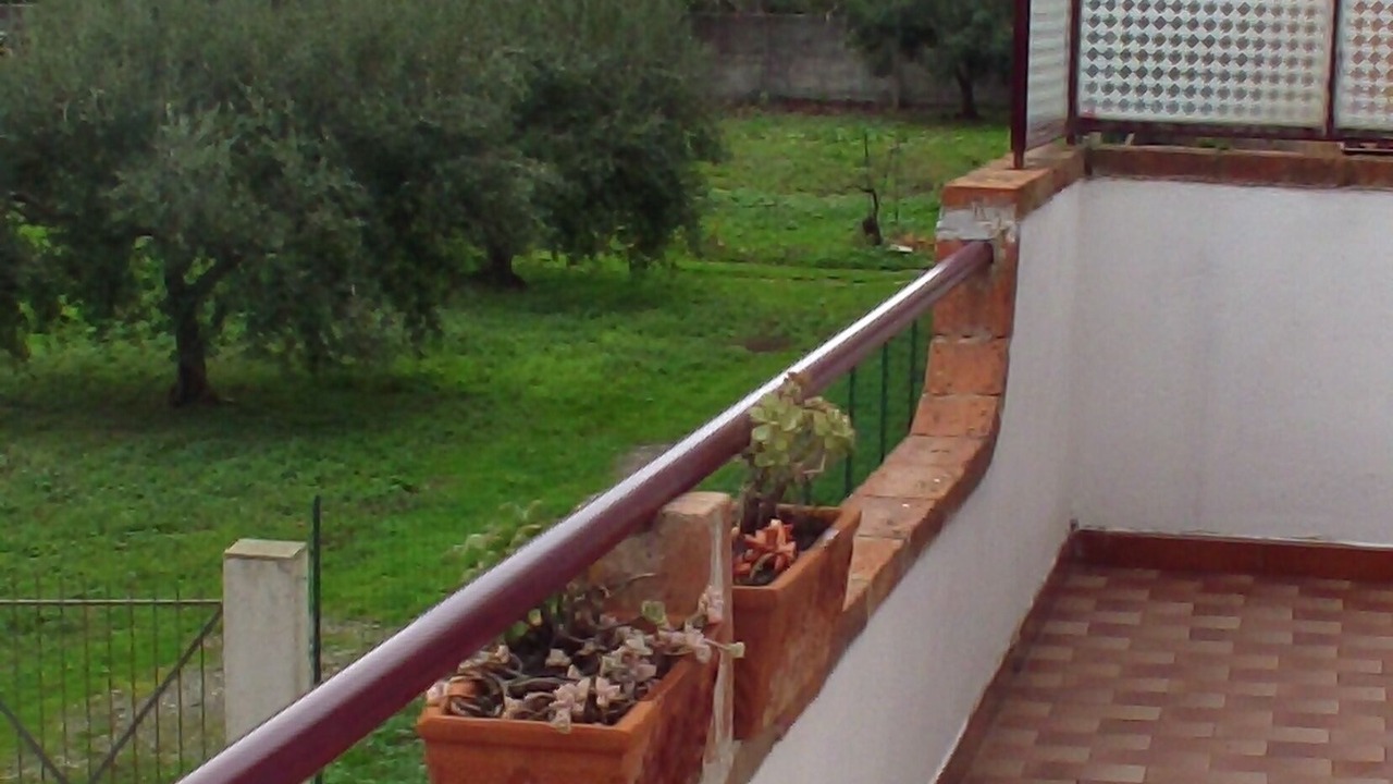 Photo of Outdoor in Furci Siculo