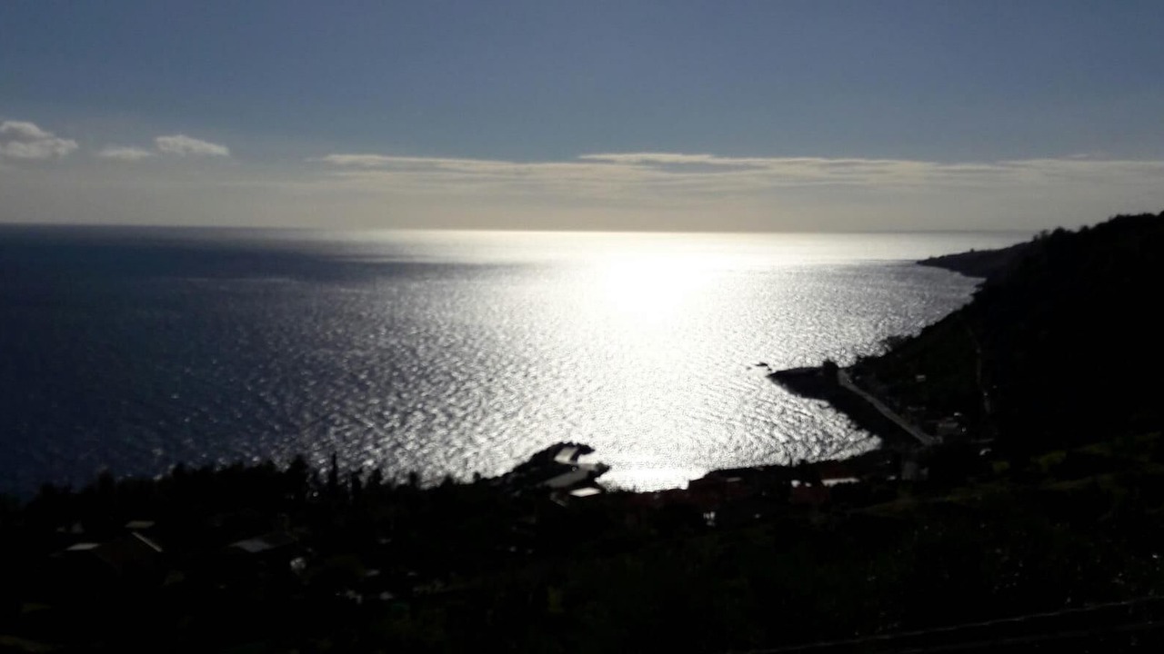 Photo of Others in Santa Tecla
