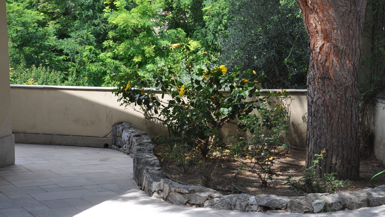 Photo of Outdoor in Pace del Mela