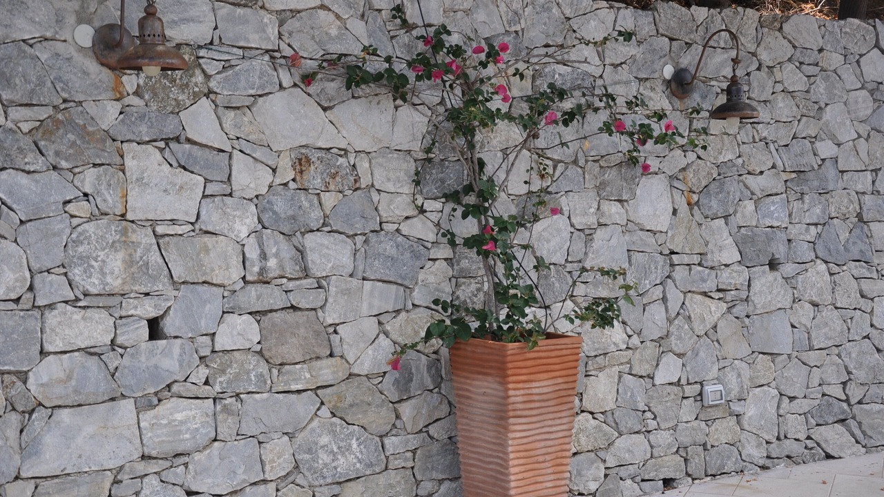 Photo of Outdoor in Pace del Mela