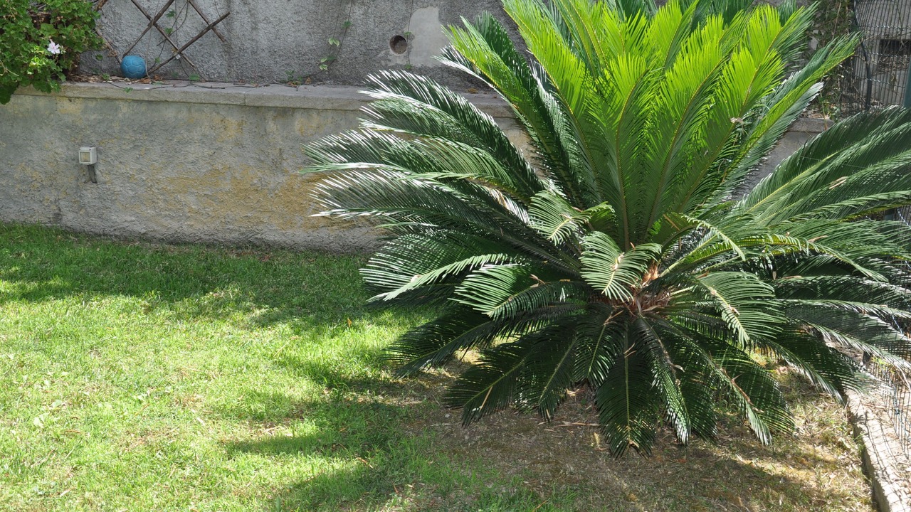 Photo of Outdoor in Pace del Mela
