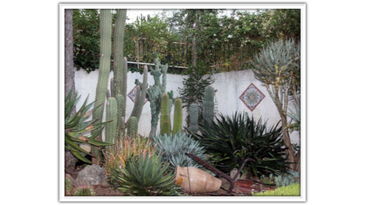 Photo of Outdoor in Monreale