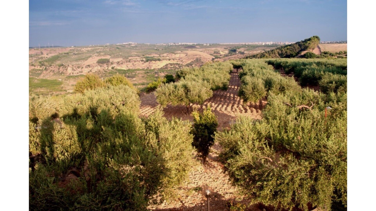Photo of Outdoor in Caltabellotta