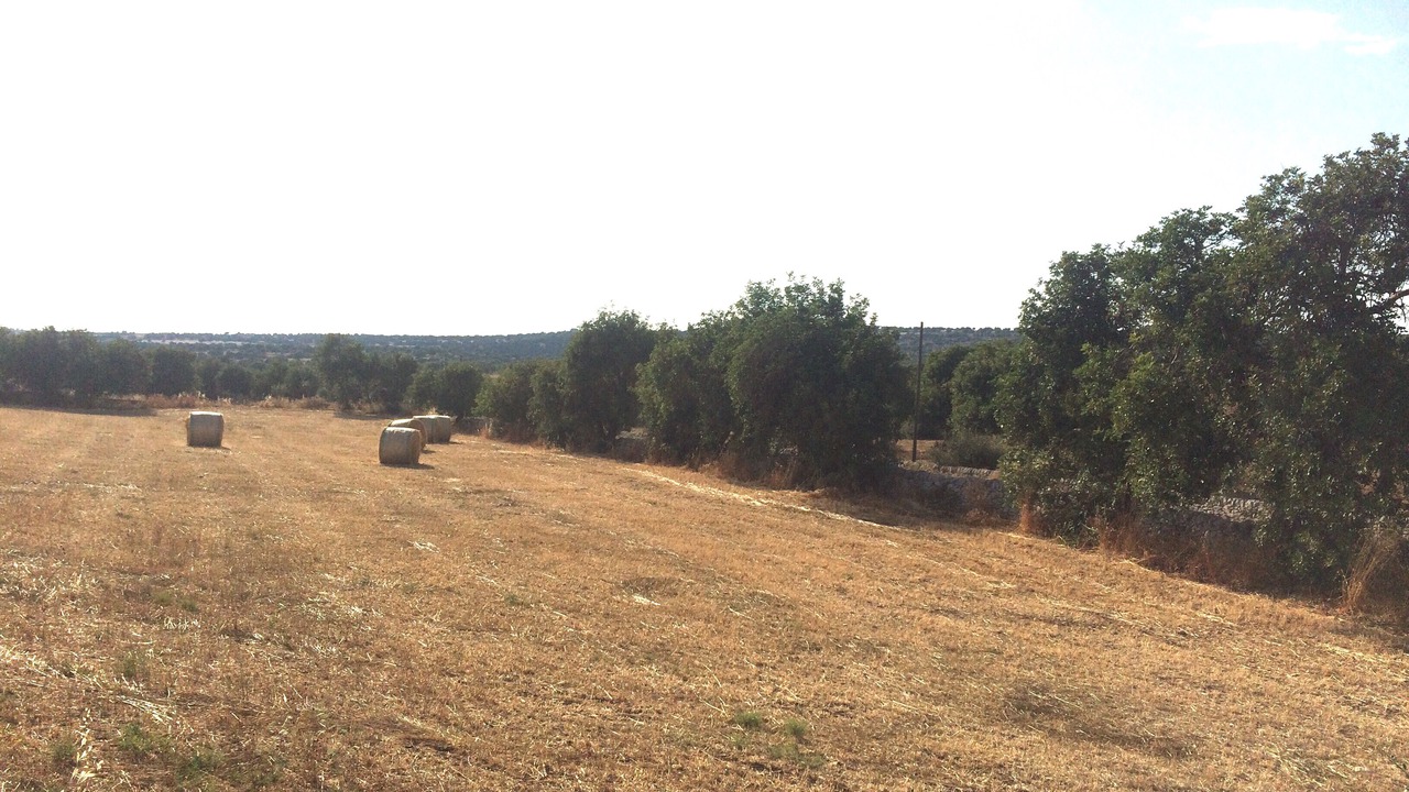 Photo of Others in Ragusa