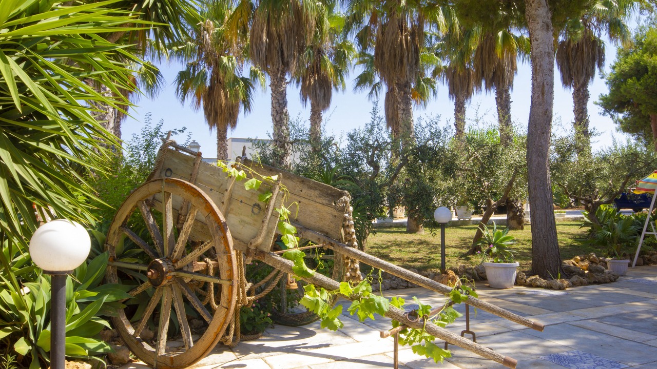 Photo of Outdoor in Arini