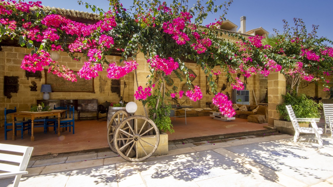 Photo of Outdoor in Arini
