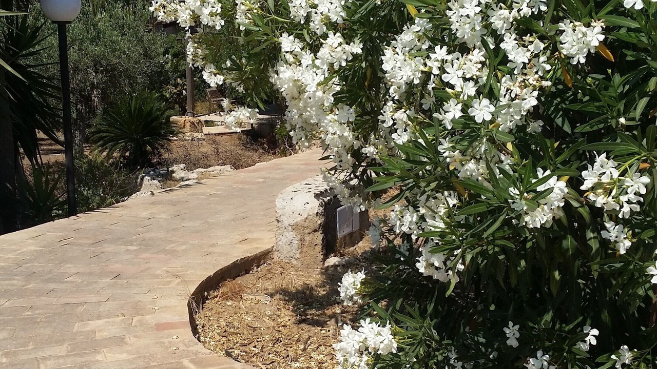 Photo of Outdoor in Mazara del Vallo