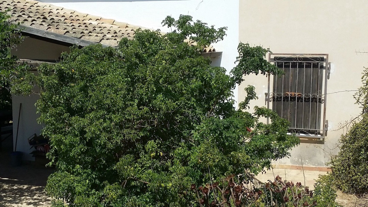 Photo of Outdoor in Mazara del Vallo