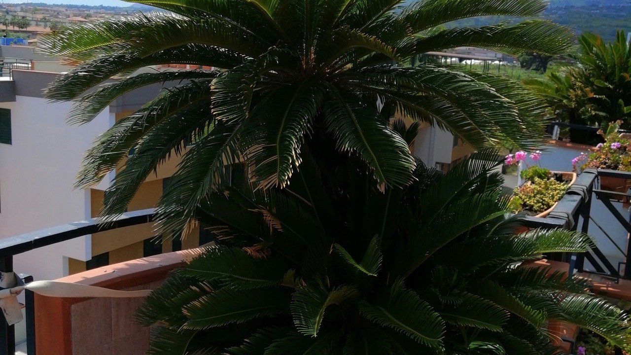 Photo of Outdoor in Sant'Anna