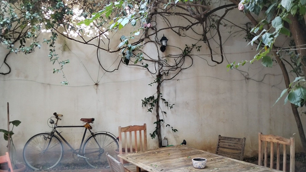 Photo of Outdoor in Palermo