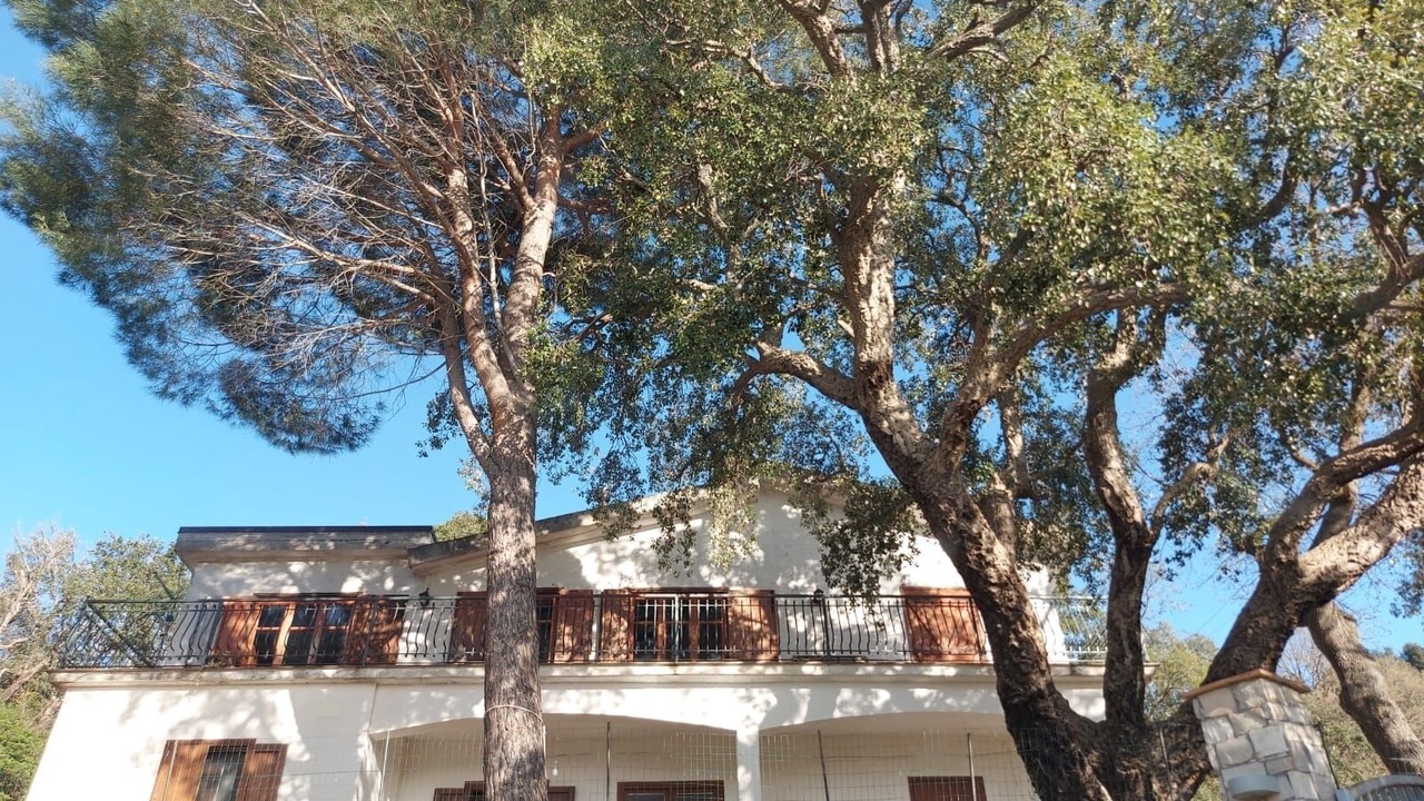 Photo of Outdoor in Gratteri