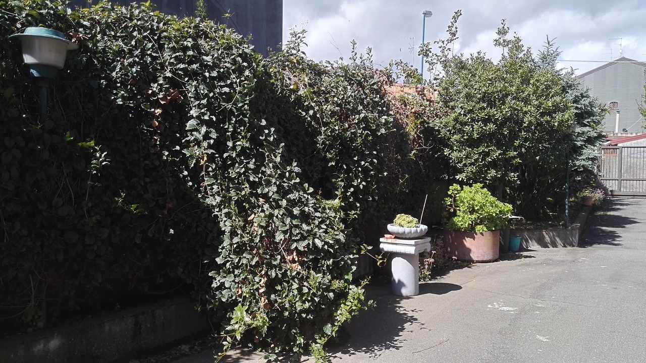 Photo of Outdoor in Viagrande