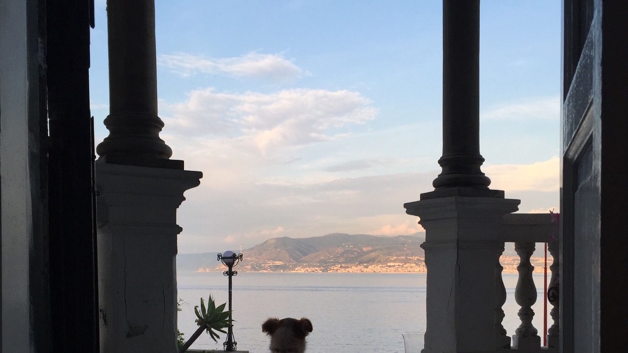 Photo of Others in Province of Messina