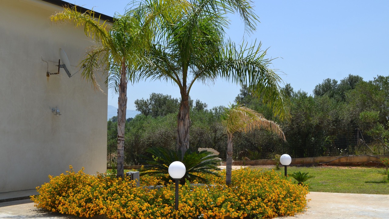 Photo of Outdoor in Balestrate
