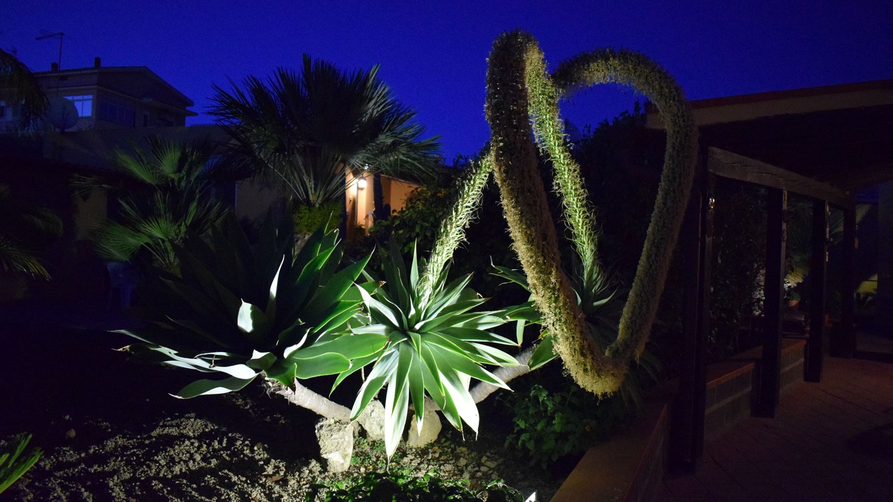 Photo of Outdoor in Villaggio Mose