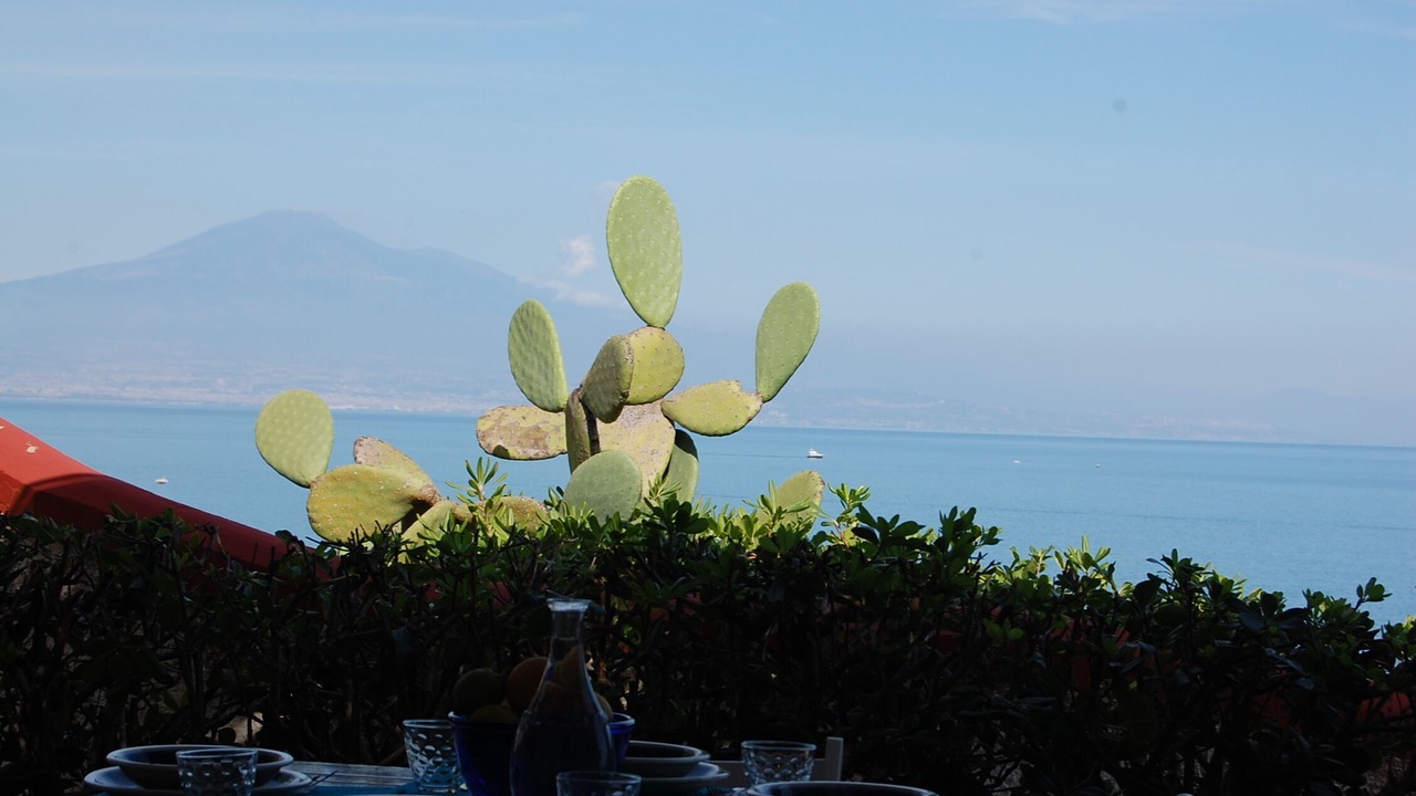 Photo of Outdoor in Costa Saracena-Castelluccio