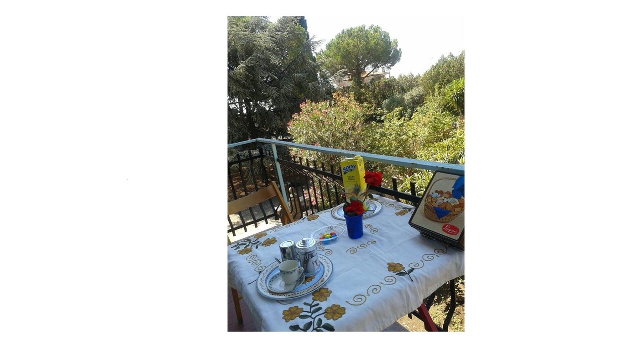 Photo of Outdoor in Pedara