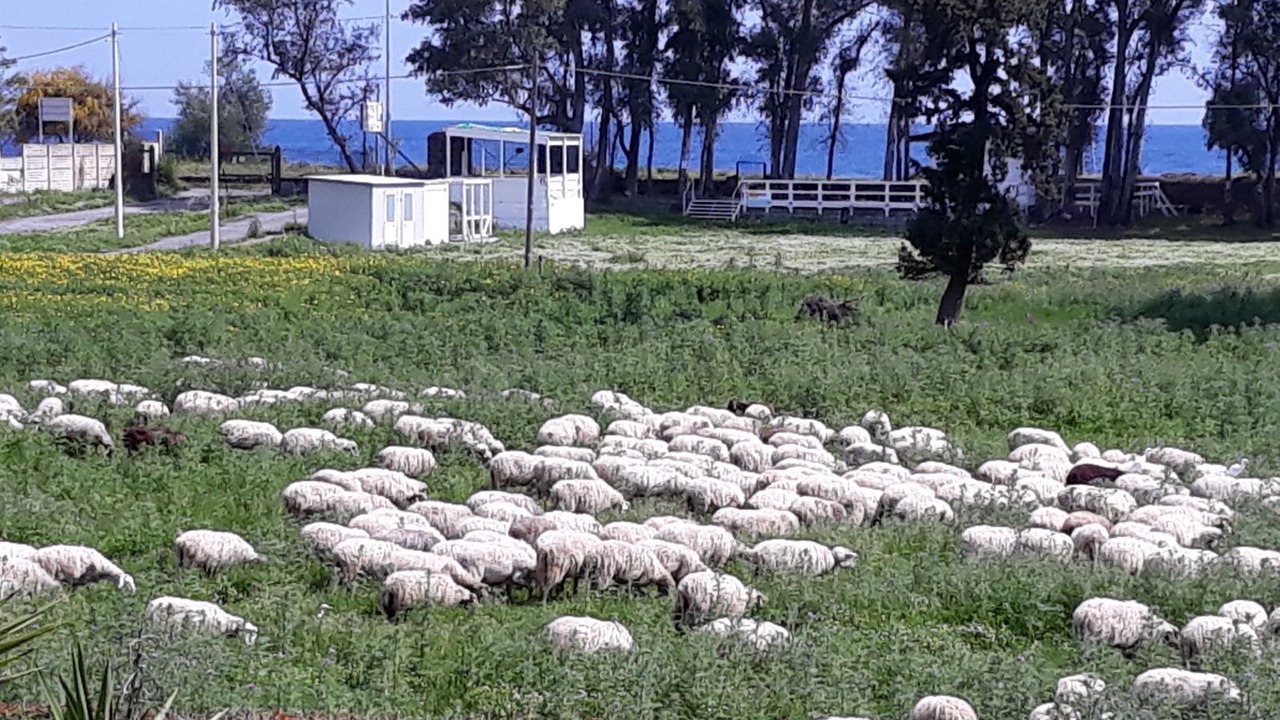 Photo of Outdoor in Fiumefreddo di Sicilia