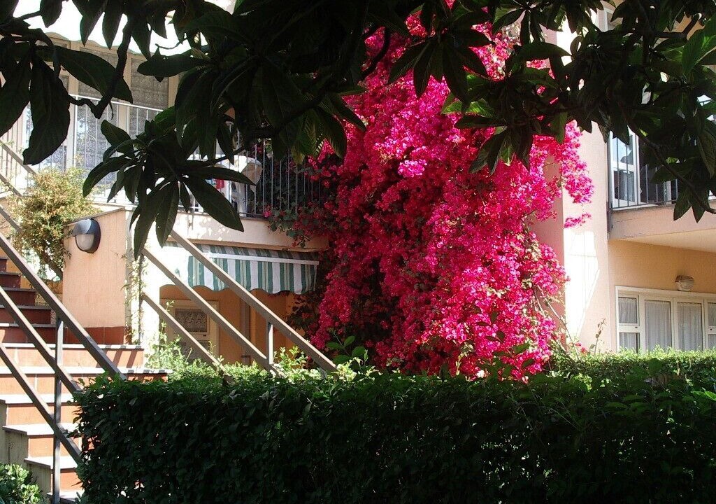 Photo of Others in Fiumefreddo di Sicilia