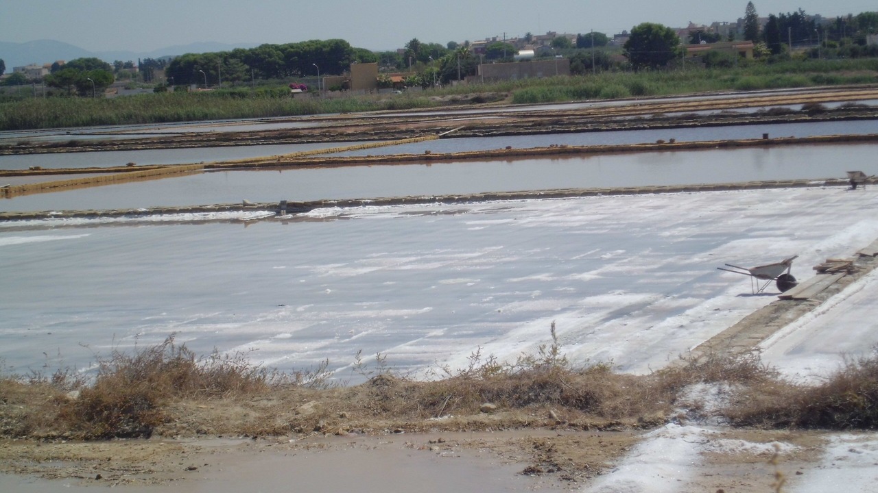 Photo of Others in Trapani