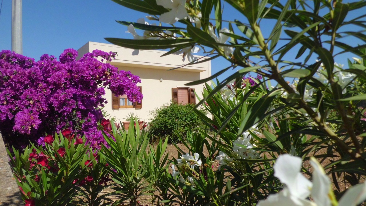 Photo of Outdoor in Trapani