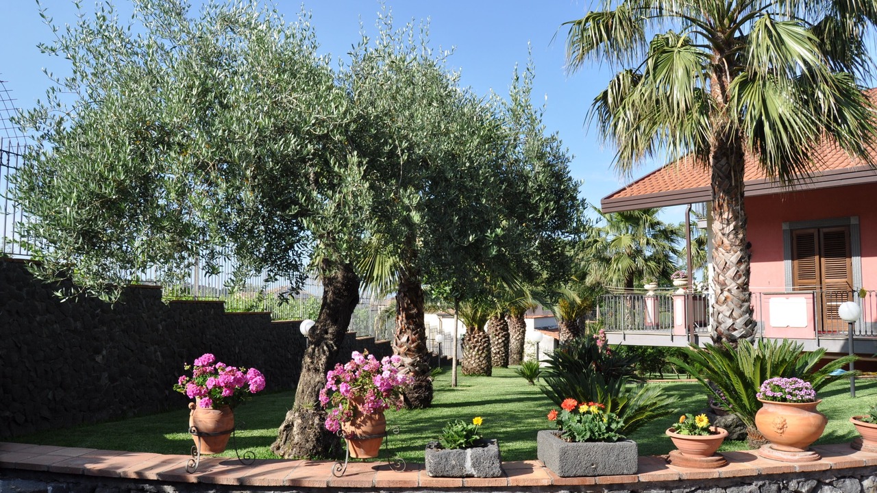 Photo of Outdoor in Santa Venerina