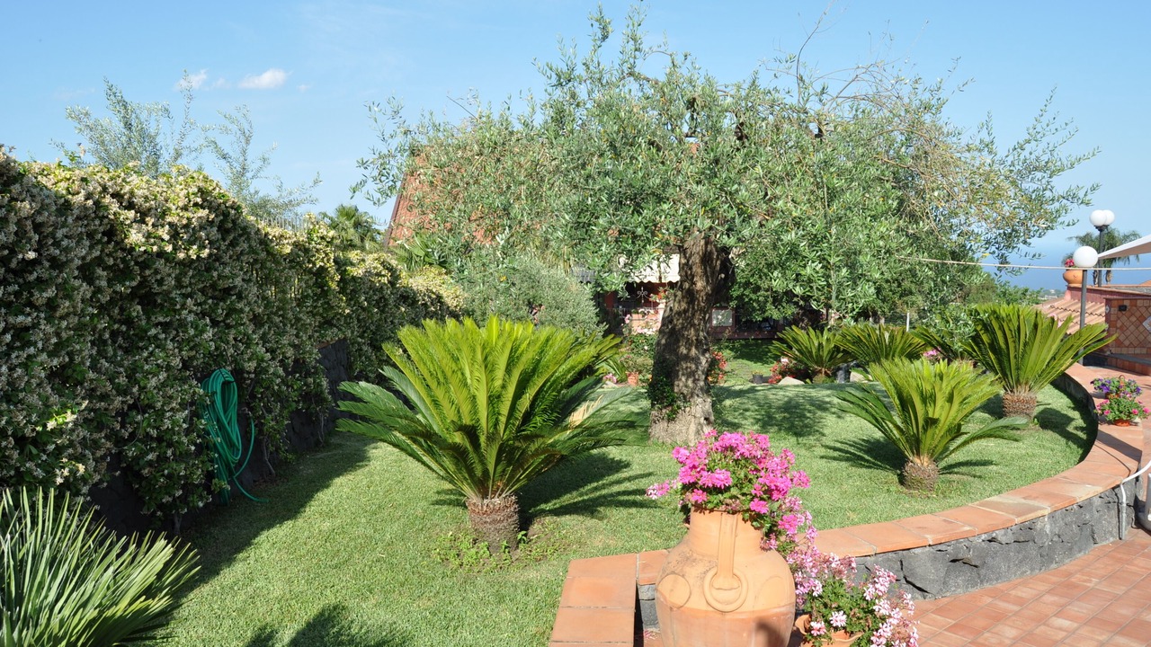 Photo of Outdoor in Santa Venerina