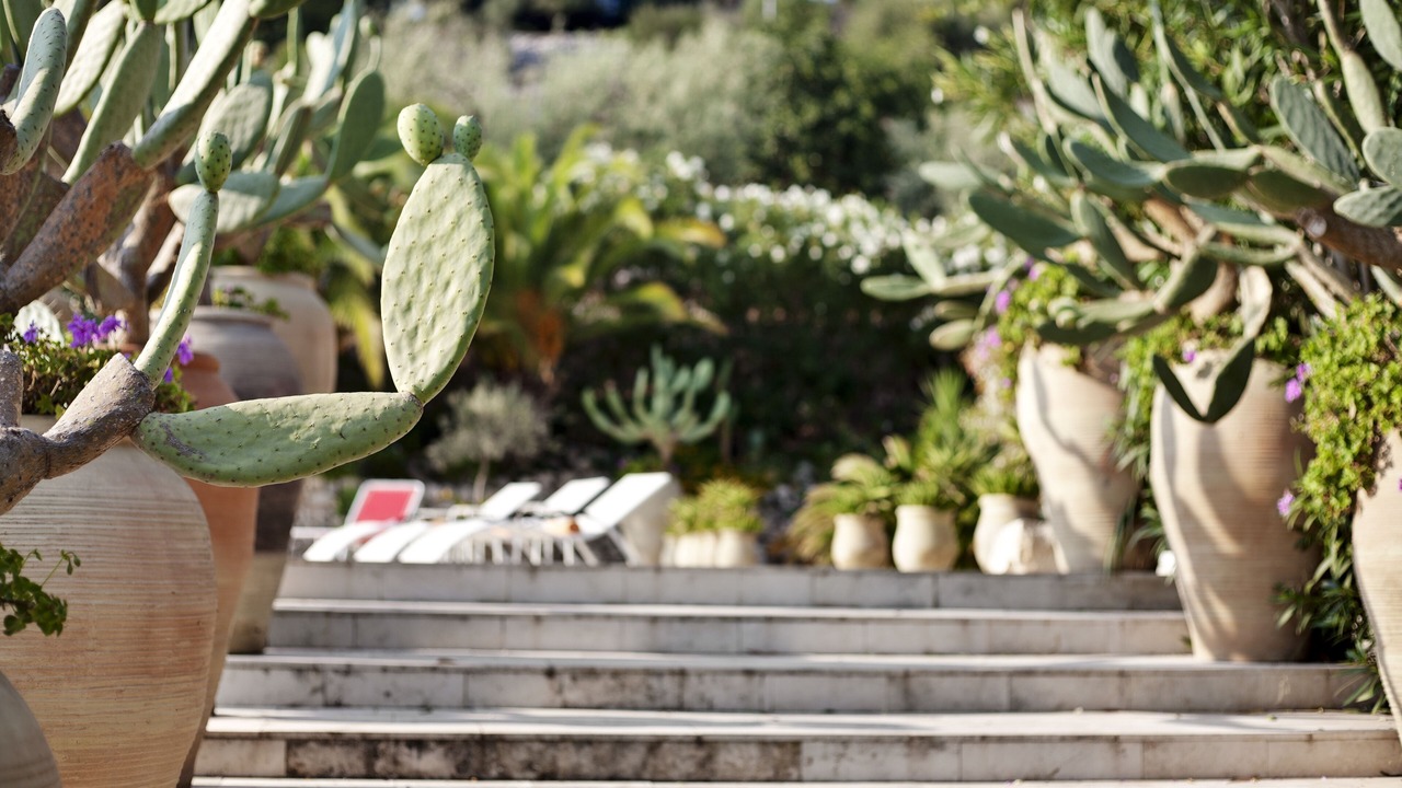 Photo of Outdoor in Ragusa