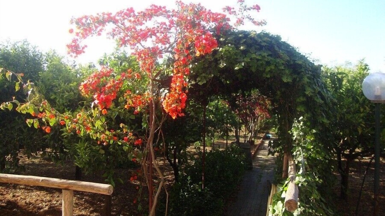 Photo of Outdoor in Sant'Andrea Bonagia