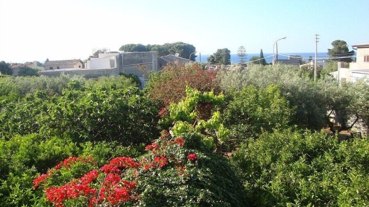 Photo of Outdoor in Sant'Andrea Bonagia