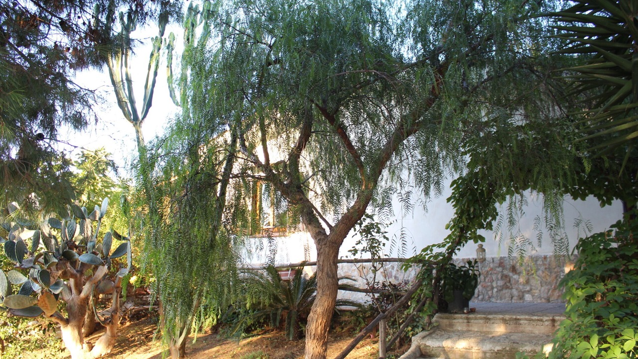 Photo of Outdoor in Altavilla Milicia