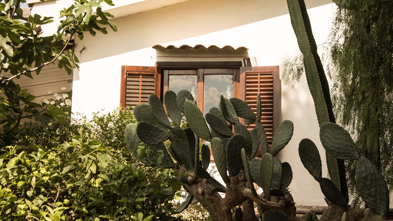 Photo of Outdoor in Altavilla Milicia