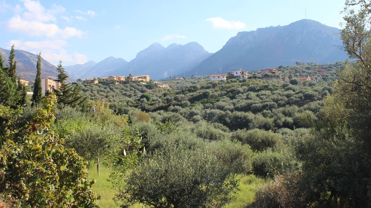 Photo of Outdoor in Altavilla Milicia