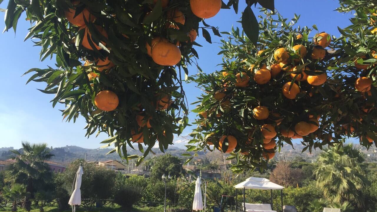 Photo of Outdoor in Mascali