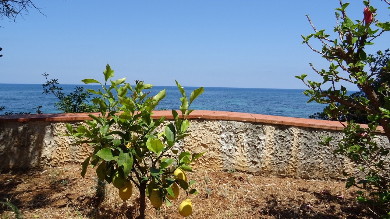Photo of Outdoor in Capo Zafferano