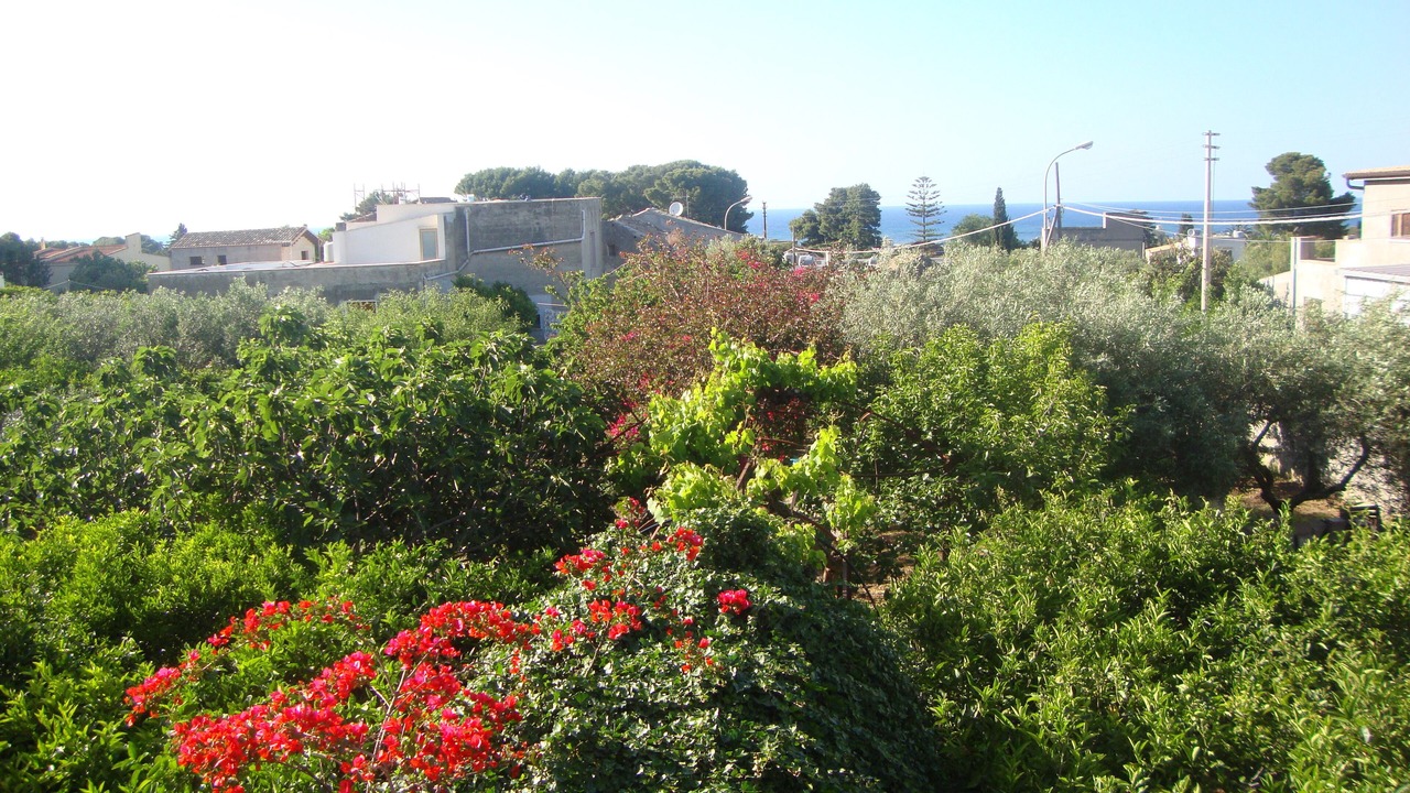 Photo of Outdoor in Sant'Andrea Bonagia
