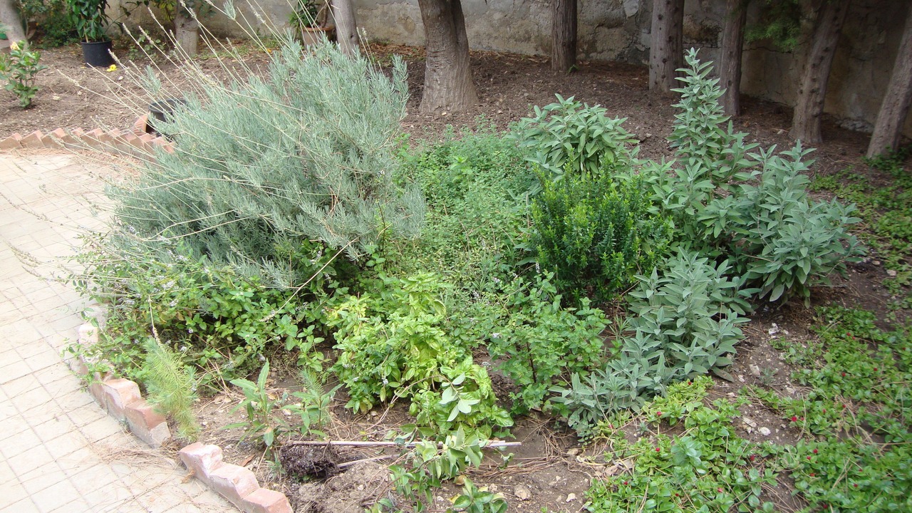 Photo of Outdoor in Sant'Andrea Bonagia