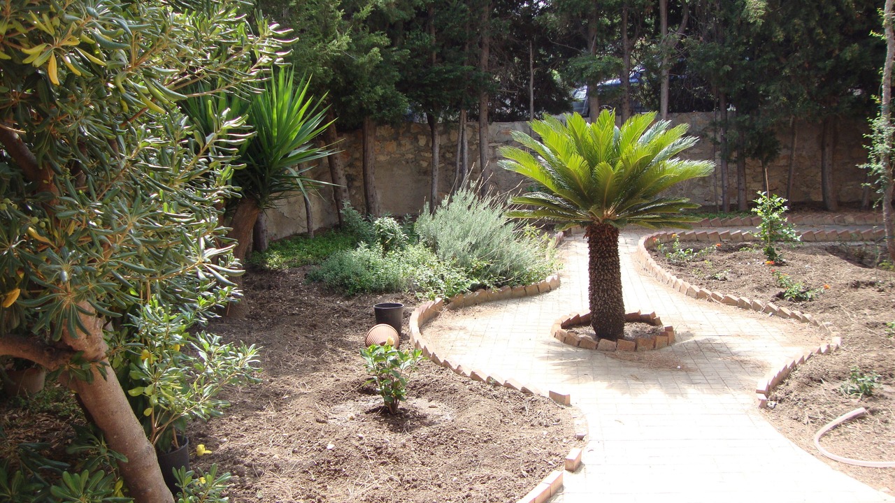 Photo of Outdoor in Sant'Andrea Bonagia
