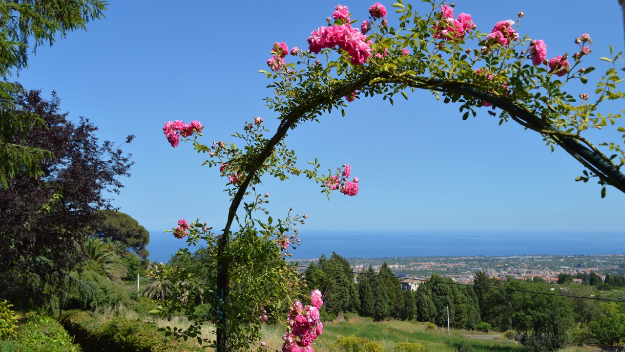 Photo of Outdoor in Coste